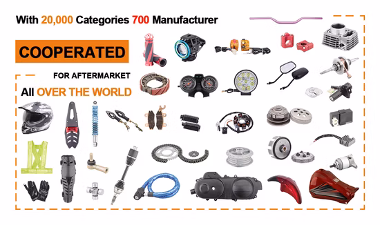 저렴하고 고품질의 자전거용 플라스틱 머드가드. 새로운 제품